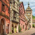 公寓 Cosy On Strasbourg Tramway Line Bischheim