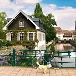 Cosy On Strasbourg Tramway Line