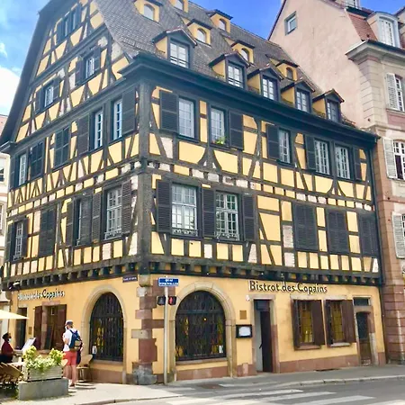 Cosy On Strasbourg Tramway Line Apartamento Bischheim