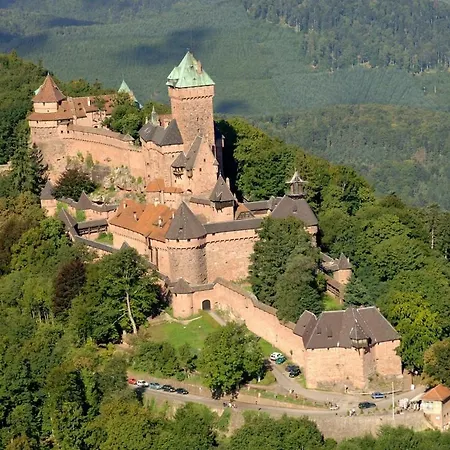 Cosy On Strasbourg Tramway Line